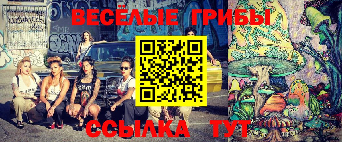 Галлюциногенные грибы Magic Shrooms Ковров