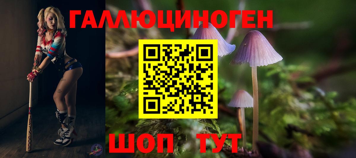 Галлюциногенные грибы MAGIC MUSHROOMS  Галлюциногенные грибы Cubensis  Вход с VPN  Ковров 